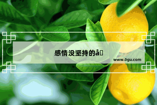 感情没坚持的句子说说