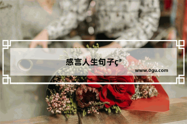 感言人生句子简短
