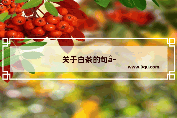 关于白茶的句子