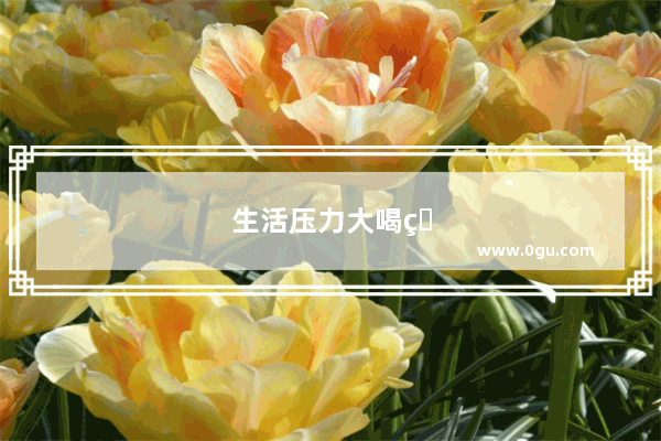 生活压力大喝点酒微醺的文案