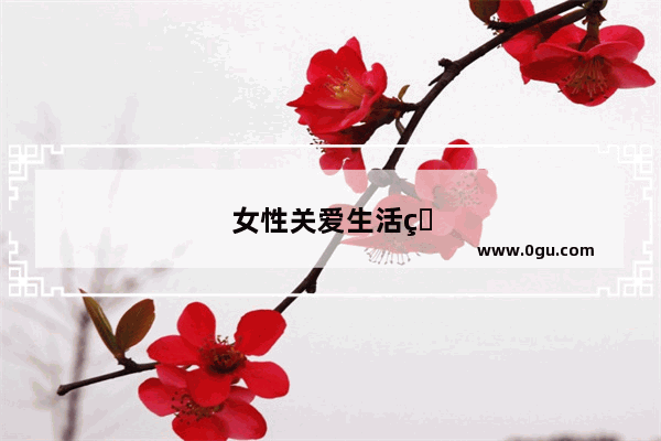 女性关爱生活的词语和句子