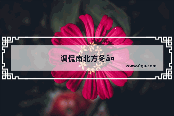 调侃南北方冬天暖气的句子