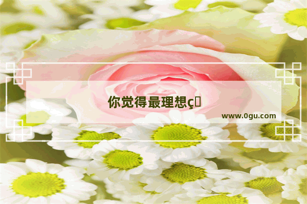 你觉得最理想的人生是什么样的