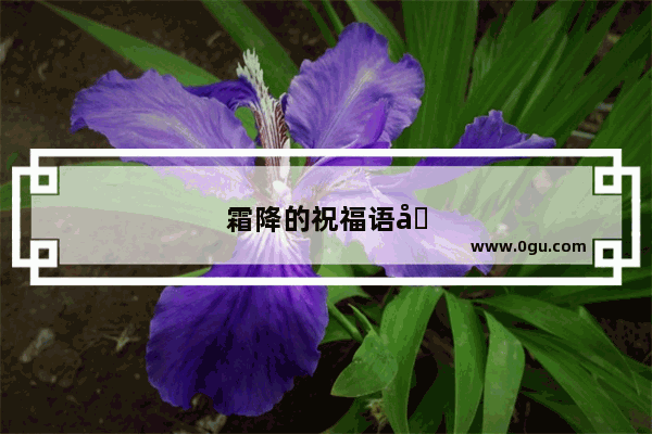 霜降的祝福语句子