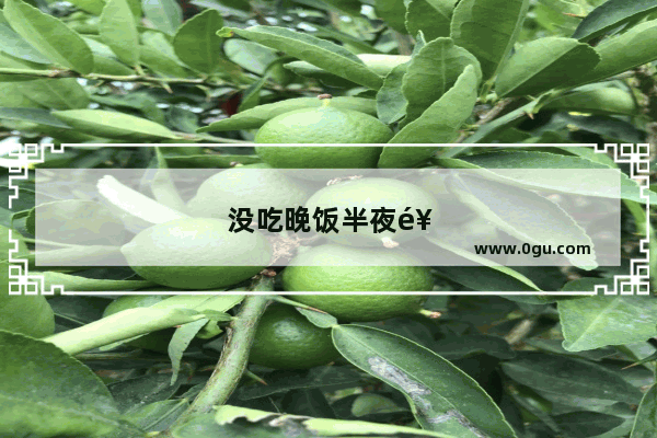 没吃晚饭半夜饿了的说说