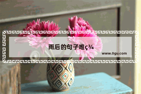 雨后的句子唯美