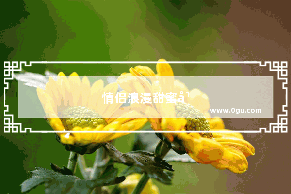 情侣浪漫甜蜜幸福句子