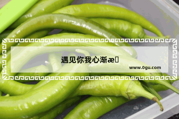遇见你我心渐暖什么意思