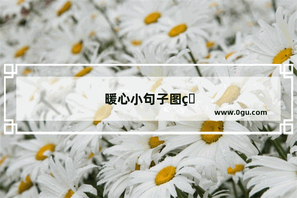 暖心小句子图片