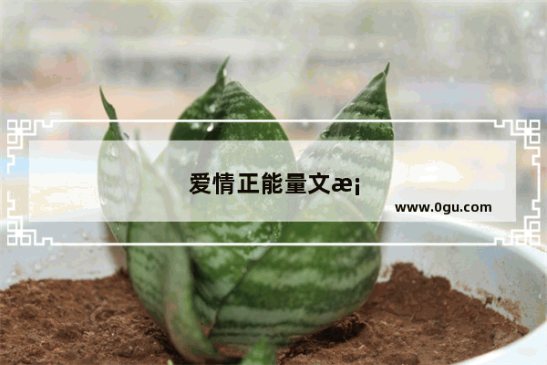 爱情正能量文案