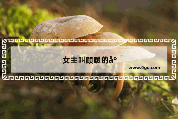 女主叫顾暖的小说 男主姓秦
