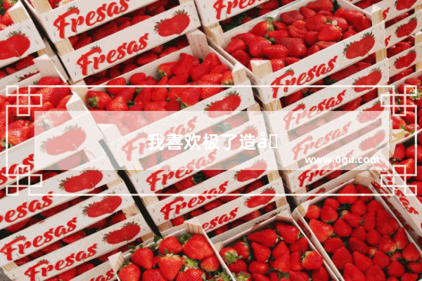 我喜欢极了造句子二年级