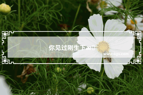 你见过刚生下来就会笑的宝宝吗