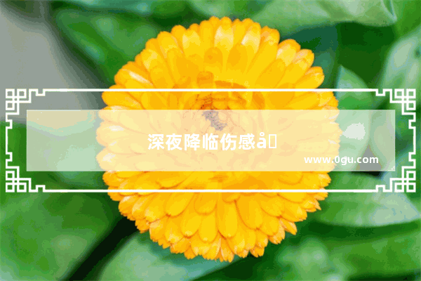 深夜降临伤感句子简短