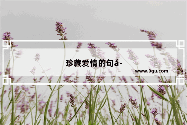 珍藏爱情的句子