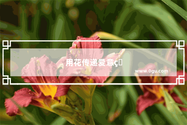 用花传递爱意的词