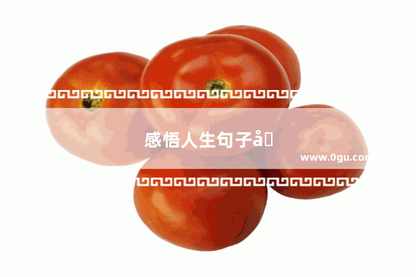 感悟人生句子励志句子短句图片