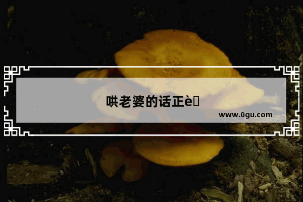 哄老婆的话正能量句子搞笑图片