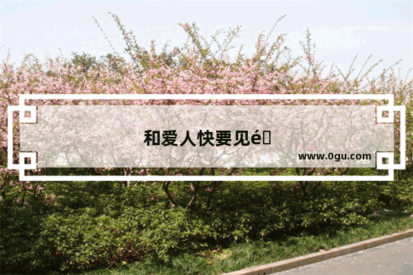 和爱人快要见面的心情句子简短