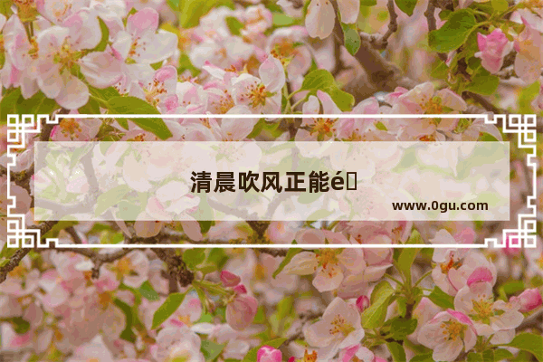 清晨吹风正能量句子简短