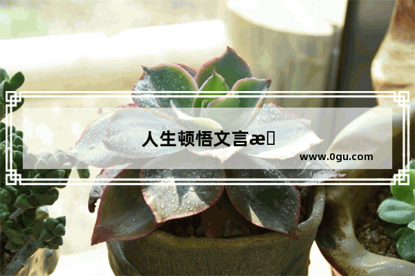 人生顿悟文言文句子