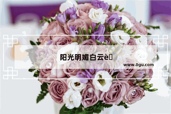 阳光明媚白云蓝天外出散步的句子