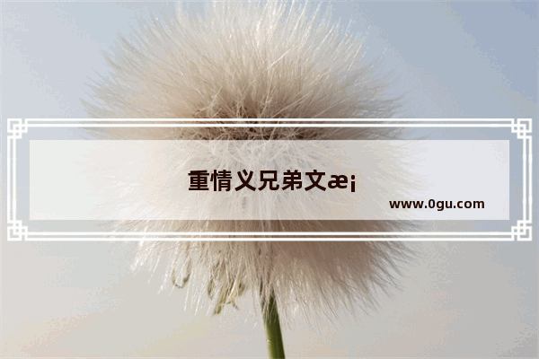 重情义兄弟文案