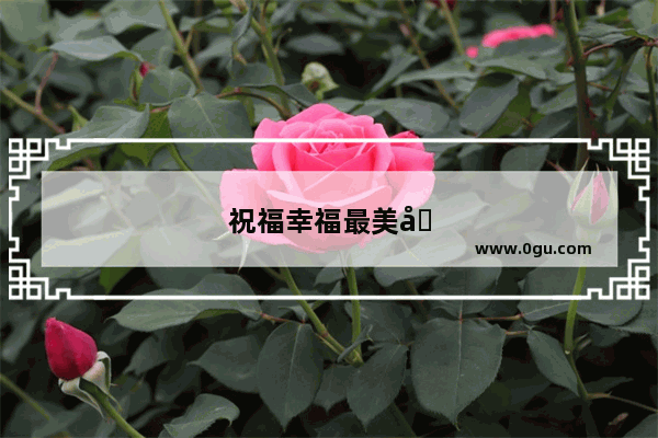 祝福幸福最美句子简短一点