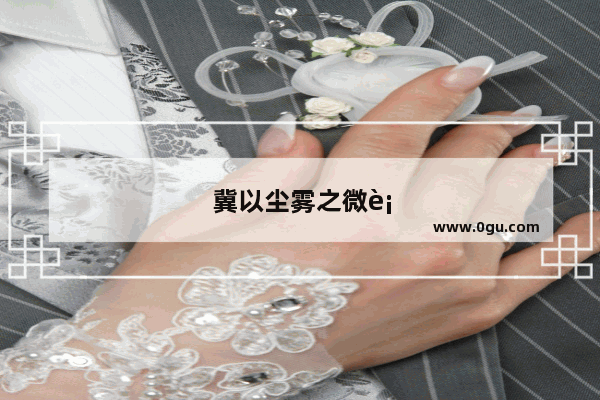 冀以尘雾之微补益山海类似的句子