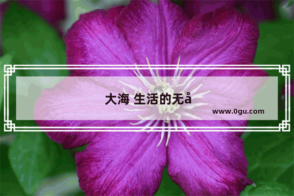 大海 生活的无尽源泉