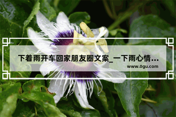下着雨开车回家朋友圈文案_一下雨心情不好搞笑回复