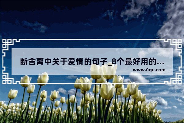断舍离中关于爱情的句子_8个最好用的手机App有哪些推荐？绝对不套路