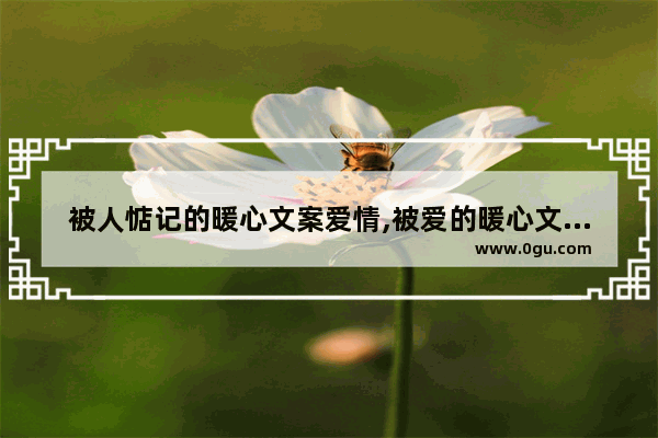 被人惦记的暖心文案爱情,被爱的暖心文案句子