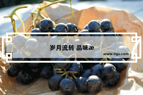 岁月流转 品味沧桑之美