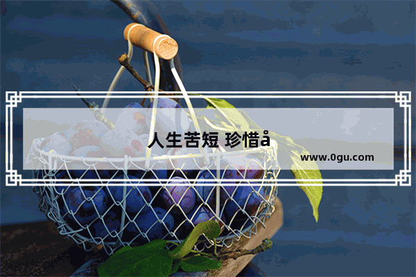 人生苦短 珍惜当下