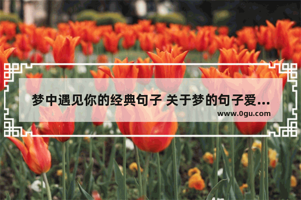梦中遇见你的经典句子 关于梦的句子爱情句子