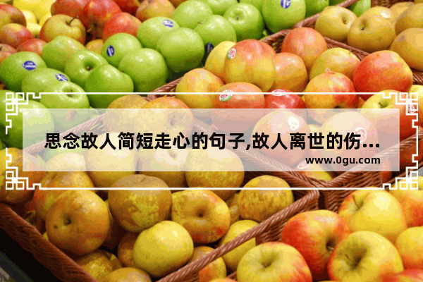 思念故人简短走心的句子,故人离世的伤感句子