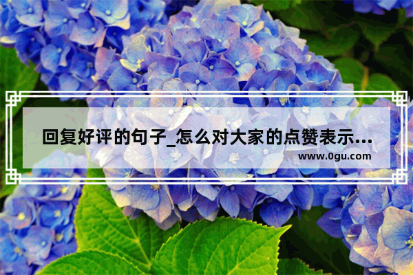 回复好评的句子_怎么对大家的点赞表示感谢