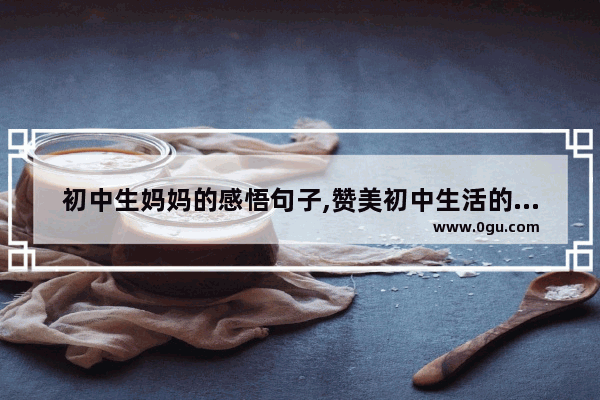 初中生妈妈的感悟句子,赞美初中生活的句子
