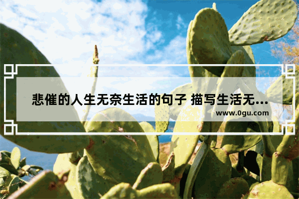 悲催的人生无奈生活的句子 描写生活无奈的句子