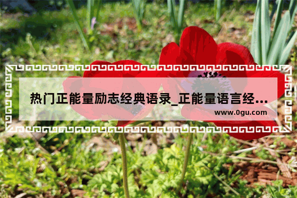 热门正能量励志经典语录_正能量语言经典语录