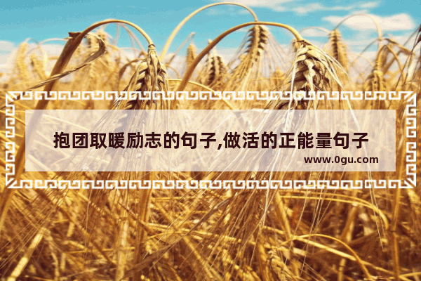 抱团取暖励志的句子,做活的正能量句子