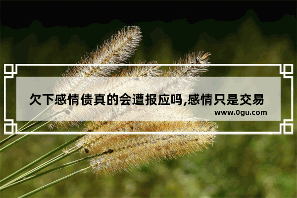 欠下感情债真的会遭报应吗,感情只是交易 句子