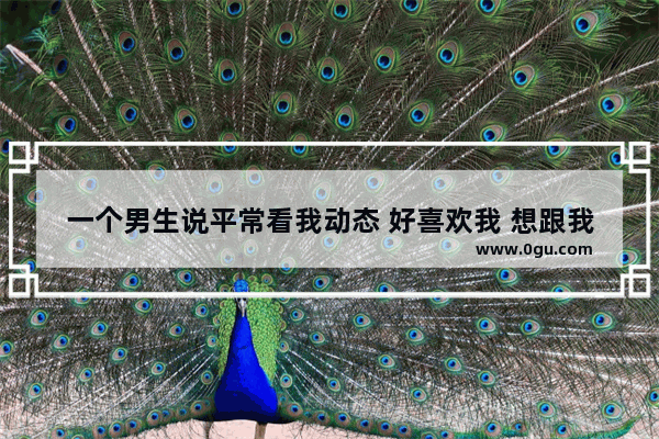 一个男生说平常看我动态 好喜欢我 想跟我多聊聊天 互相了解一下 我怎么回复_男生发动态说他很喜欢你但他没有勇气 你该怎么回答