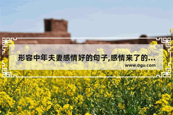 形容中年夫妻感情好的句子,感情来了的句子