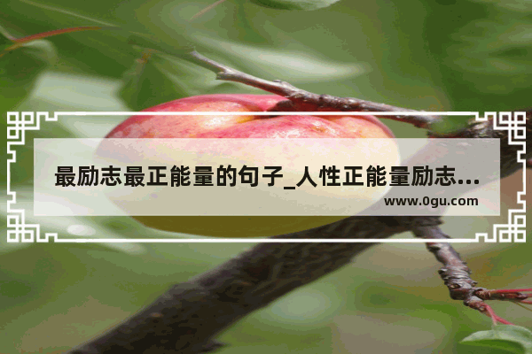 最励志最正能量的句子_人性正能量励志句子