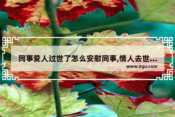 同事爱人过世了怎么安慰同事,情人去世伤感的句子