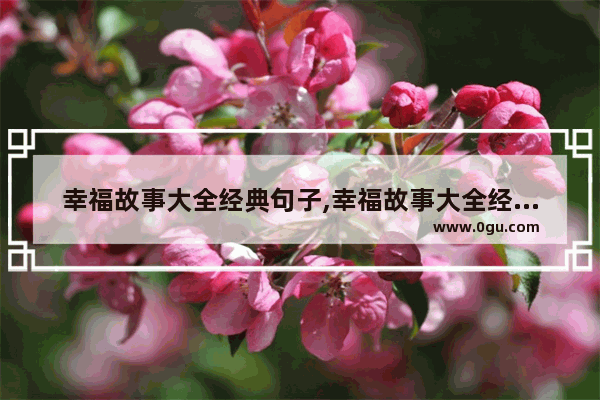 幸福故事大全经典句子,幸福故事大全经典句子