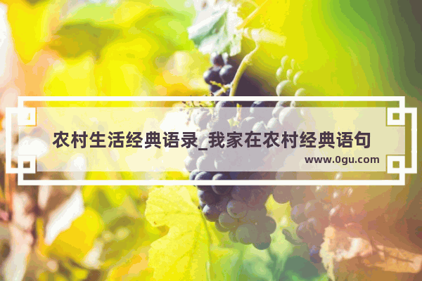 农村生活经典语录_我家在农村经典语句