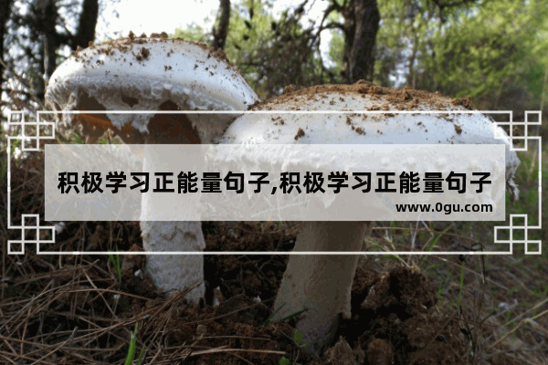积极学习正能量句子,积极学习正能量句子